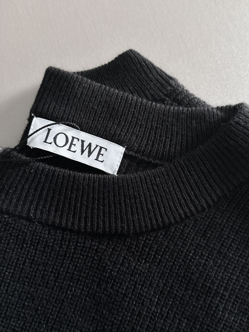 Loewe Sweaters